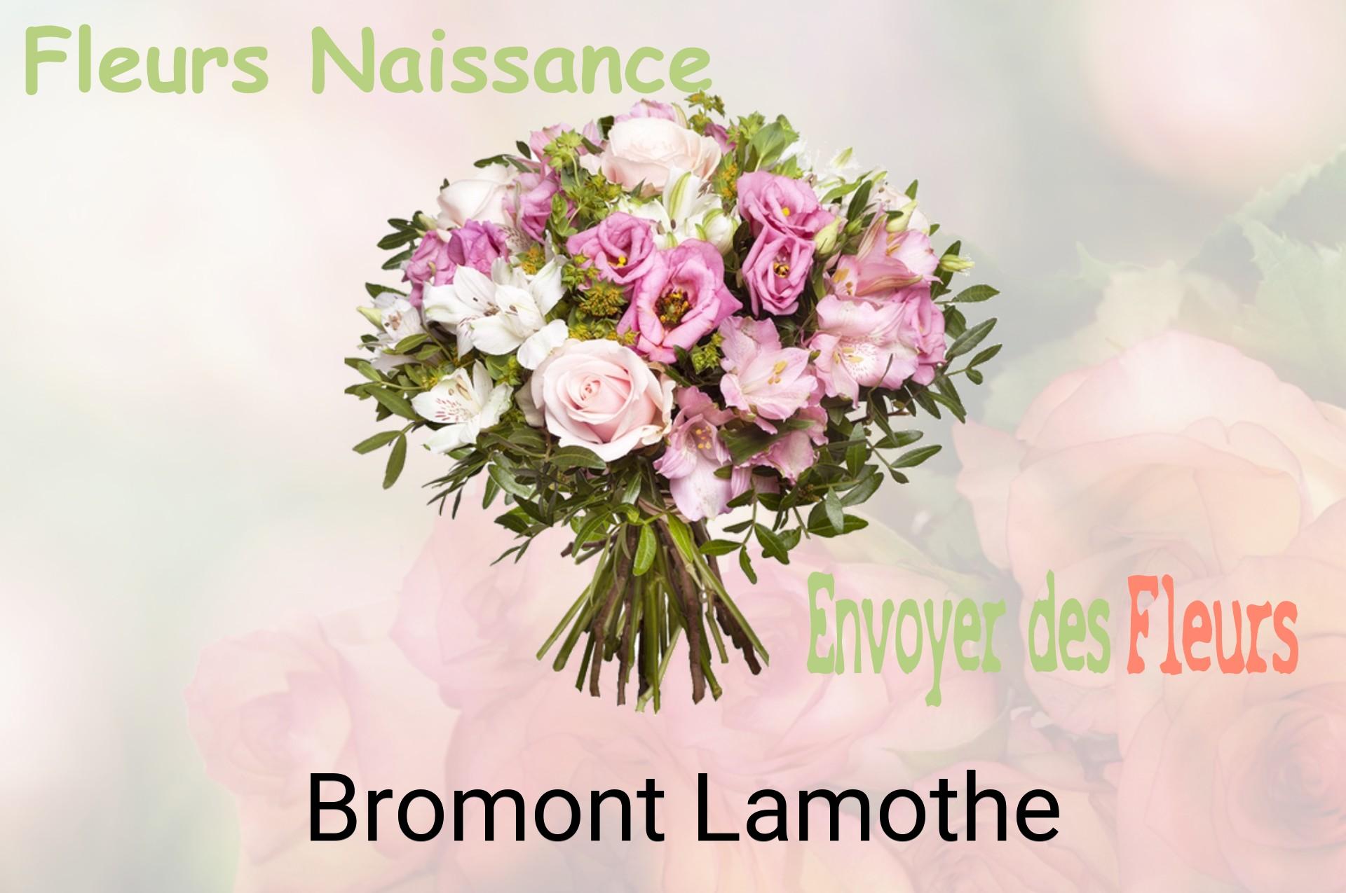 Bouquet de fleurs de naissance livré à Bromont-Lamothe